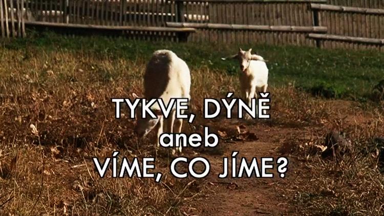 Постер Tykve, dýně aneb Víme, co jíme?