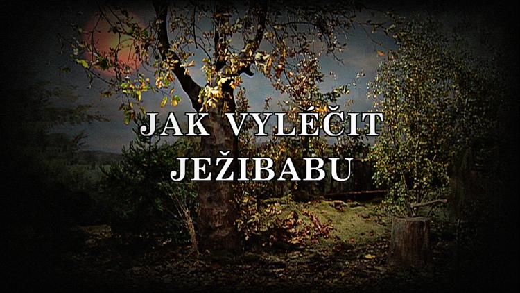 Постер Jak vyléčit Ježibabu