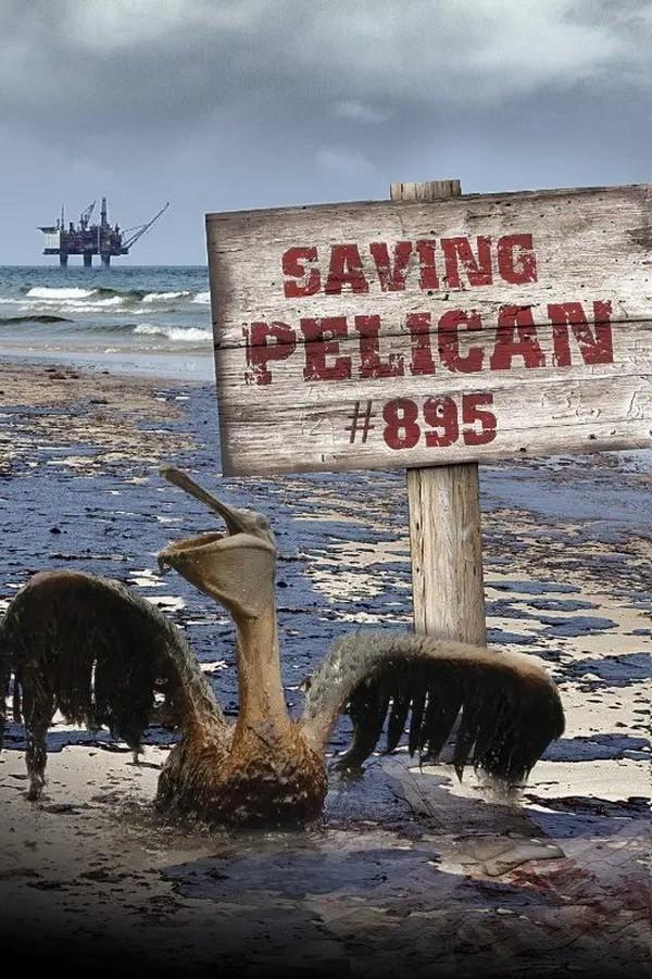 Saving Pelican 895 (saving-pelican-895) Документальный фильм