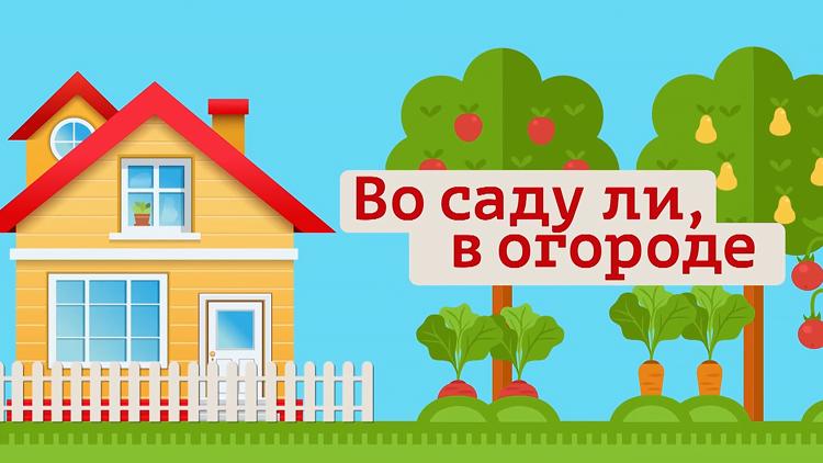 Постер Во саду ли, в огороде