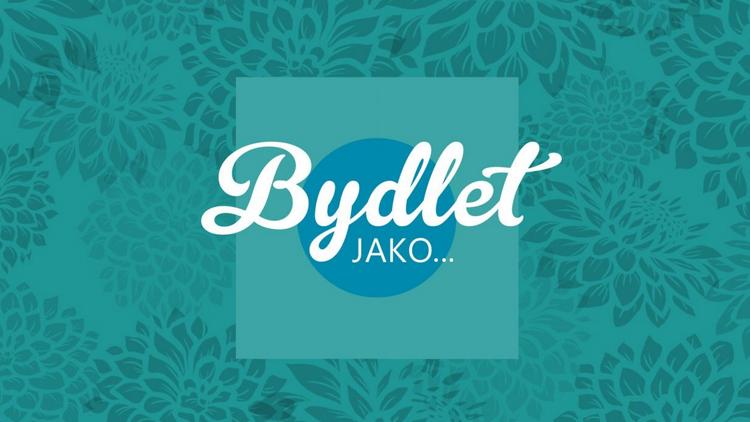 Постер Bydlet jako... na dvě patra