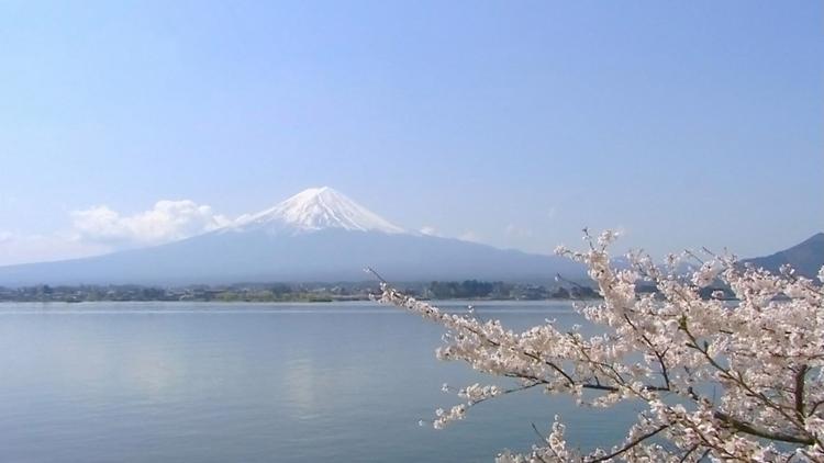 Постер Magical Japanese