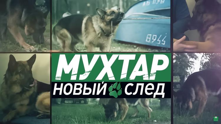 Постер Мухтар. Новый след