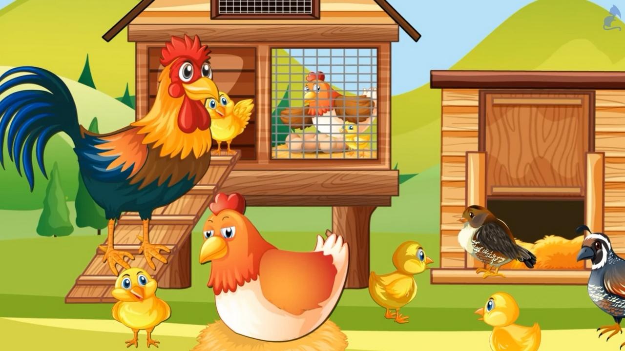 Домашние птицы (domashnie-ptitsy) Досуг, хобби