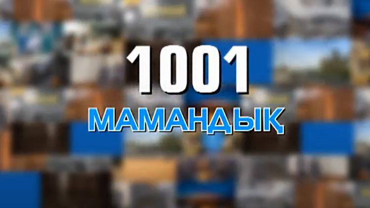 Постер 1001 мамандық