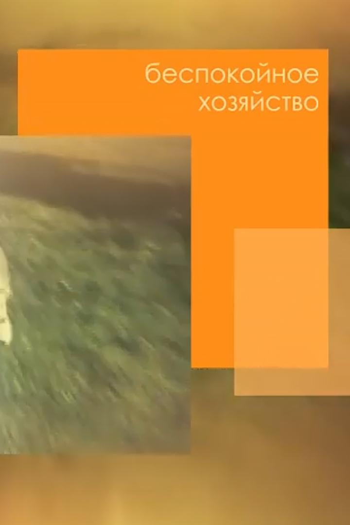 Беспокойное хозяйство (bespokojnoe-hozjajstvo) Досуг, хобби