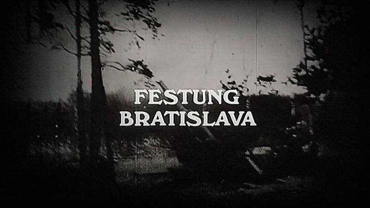 Постер Festung Bratislava