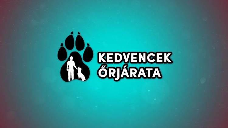 Постер Kedvencek őrjárata