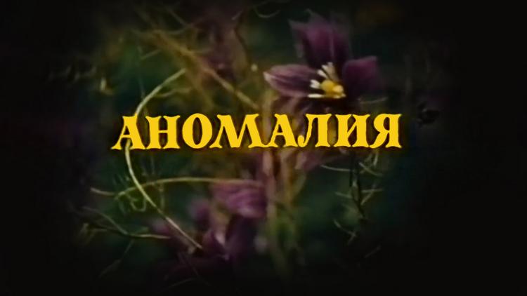 Постер Аномалия