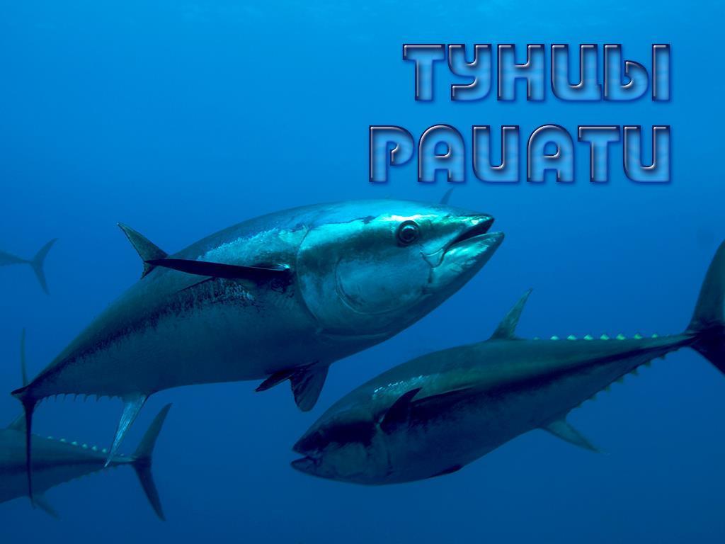 Тунцы Раиати (tuntsy-raiati) Документальный фильм