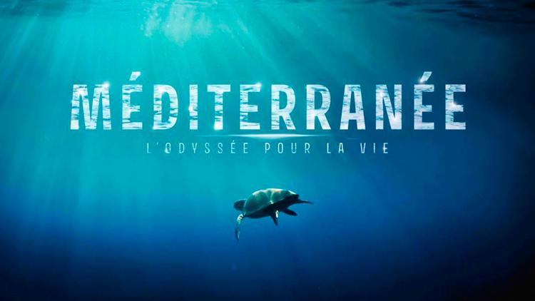 Постер Méditerranée, l'odyssée pour la vie