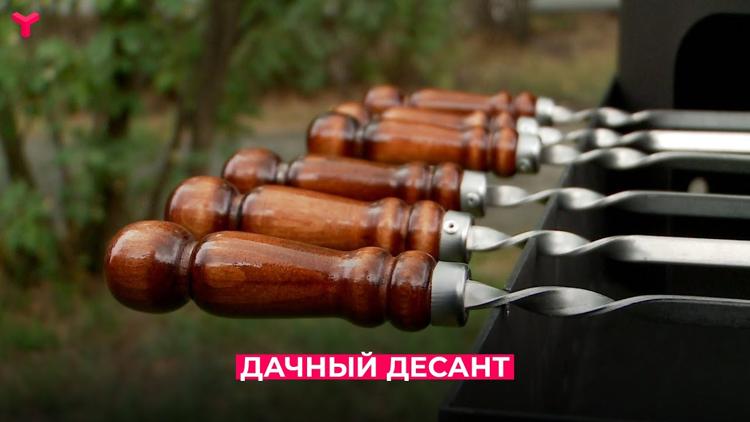 Постер Дачный десант