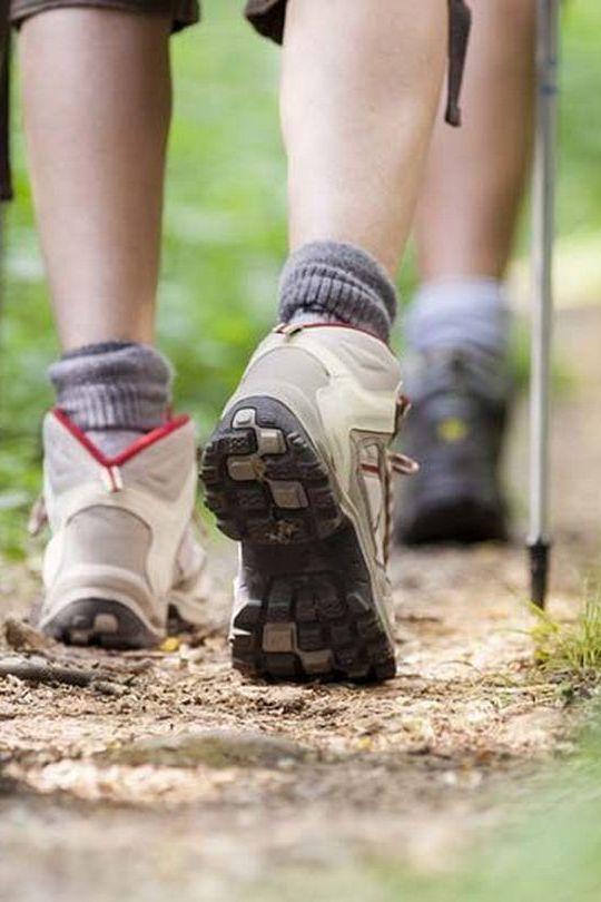 Wandercheck in der Heimat (wandercheck-in-der-heimat) Досуг, хобби