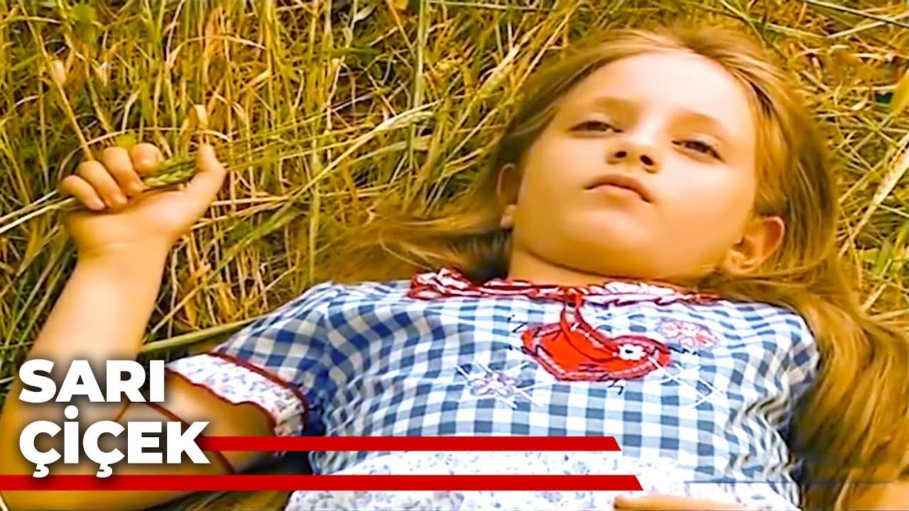 Sarı Çiçek (sar-iek) Фильм