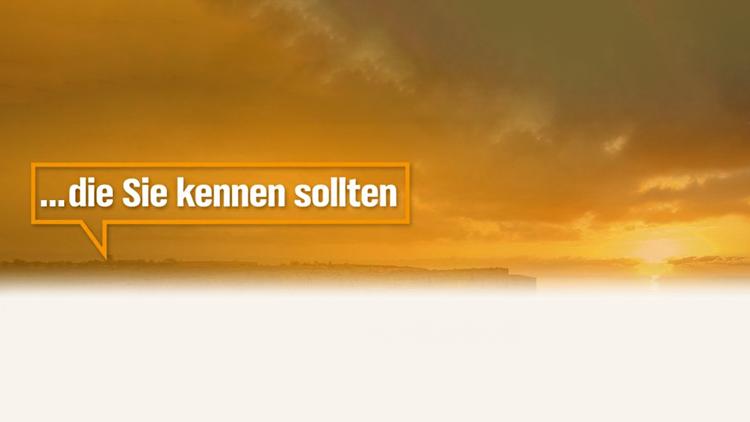 Постер ...die Sie kennen sollten