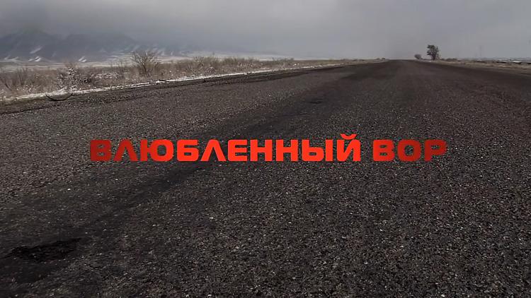 Постер Влюблённый вор