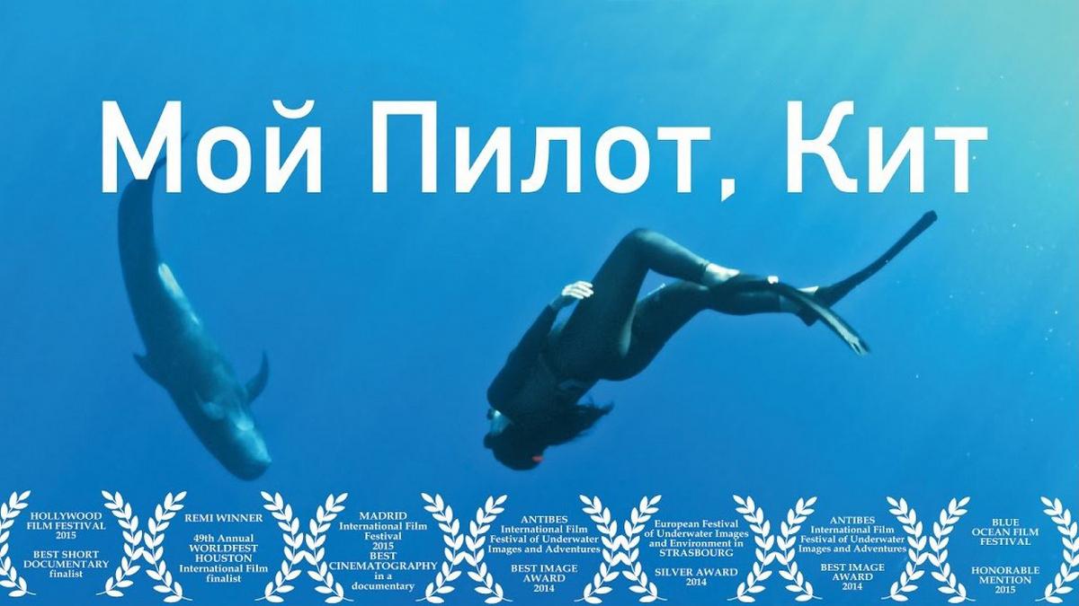Мой пилот, кит (moj-pilot-kit) Документальный фильм
