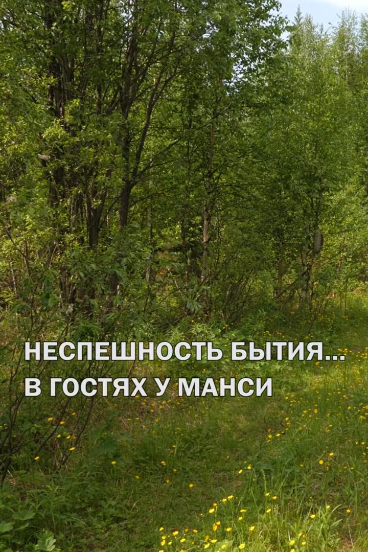 Неспешность бытия... В гостях у манси (nespeshnost-bytija-v-gostjah-u-mansi) Документальный фильм