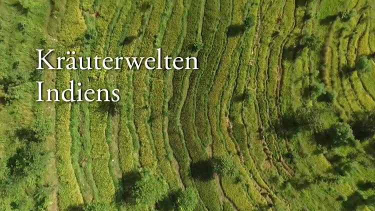 Постер Kräuterwelten Indiens