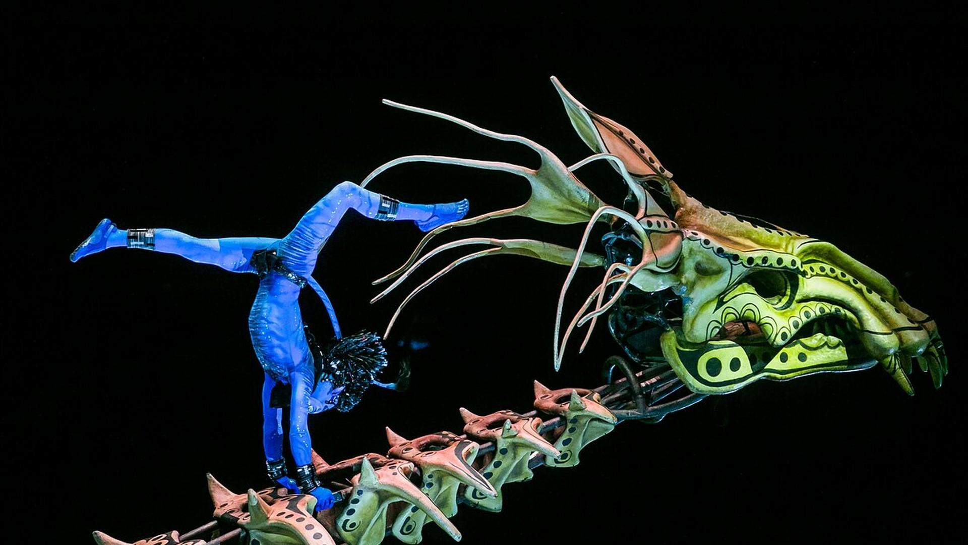 Цирк Солнца (tsirk-solntsa) ТВ-шоу