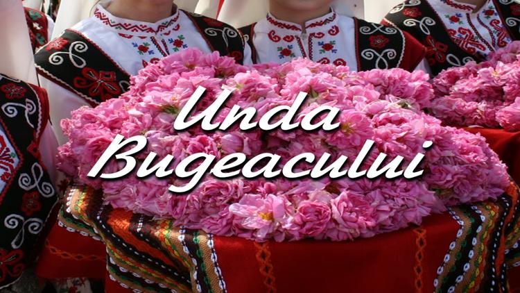 Постер Unda Bugeacului