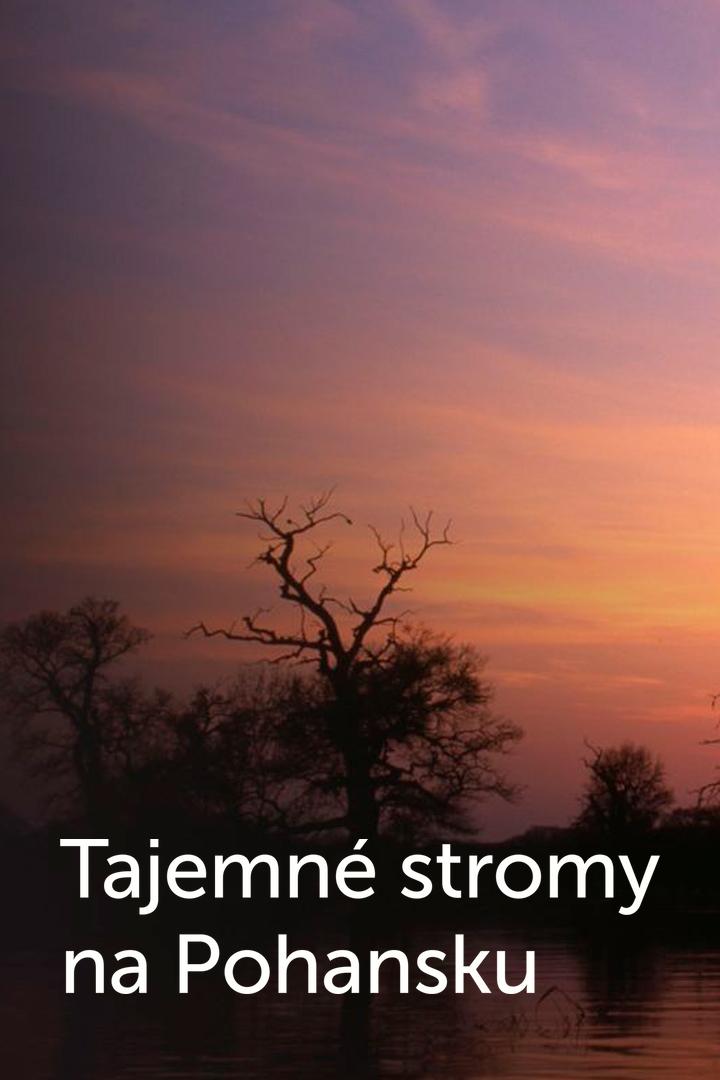 Tajemné stromy na Pohansku (tajemn-stromy-na-pohansku) Документальный фильм