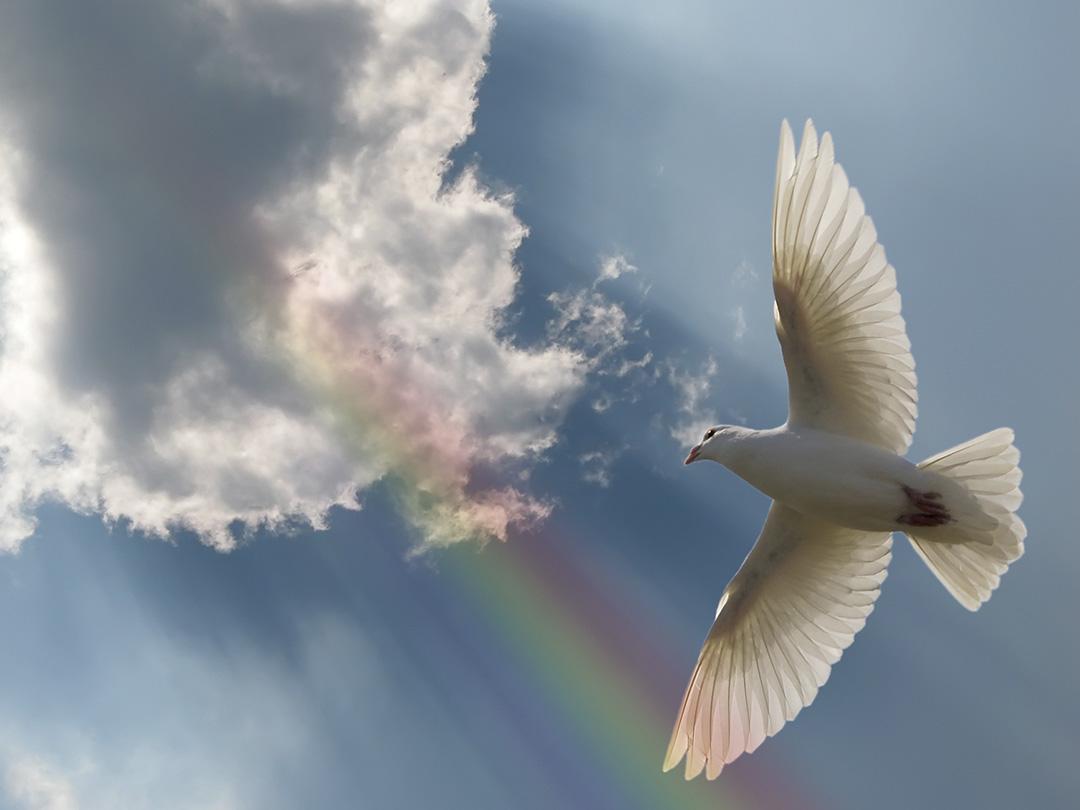 Тебе поём. Вознесение Господне (tebe-poem-voznesenie-gospodne) Документальный фильм