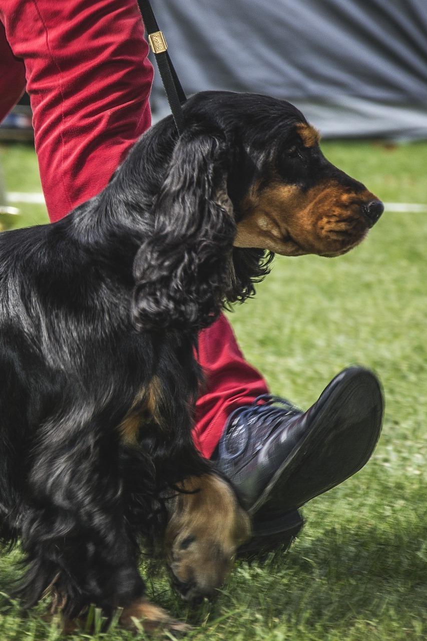 Ярмарка тщеславия (jarmarka-tscheslavija) Реалити-шоу