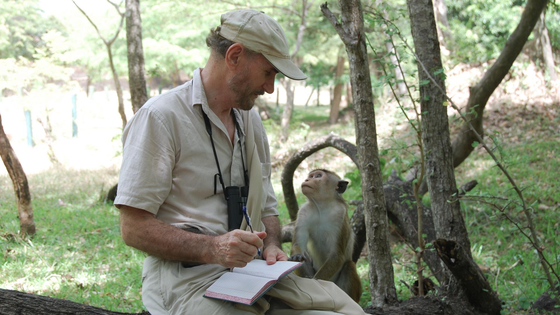 Полвека среди обезьян (polveka-sredi-obezjan) Документальный фильм