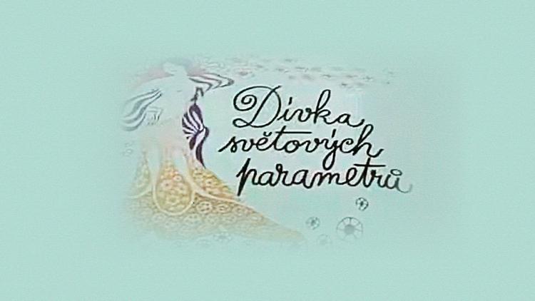 Постер Dívka světových parametrů