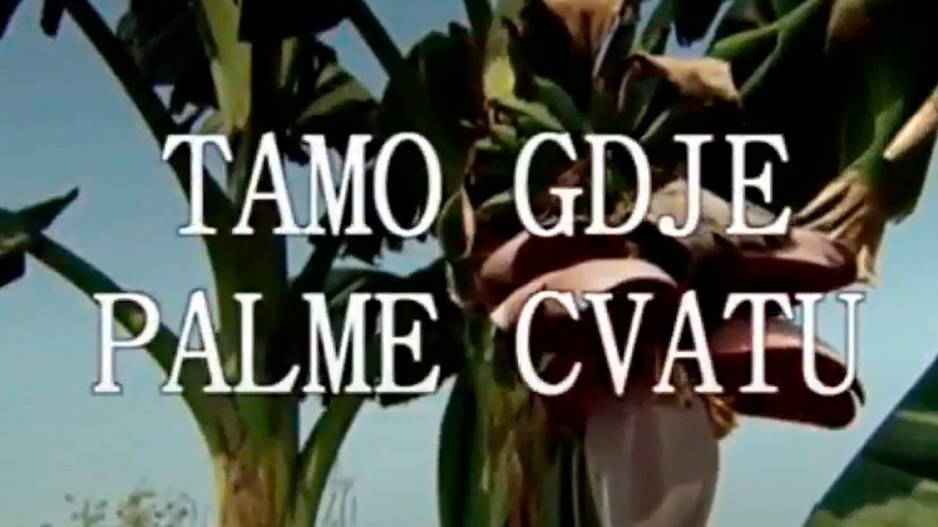 Tamo gdje palme cvatu (tamo-gdje-palme-cvatu) Документальный фильм