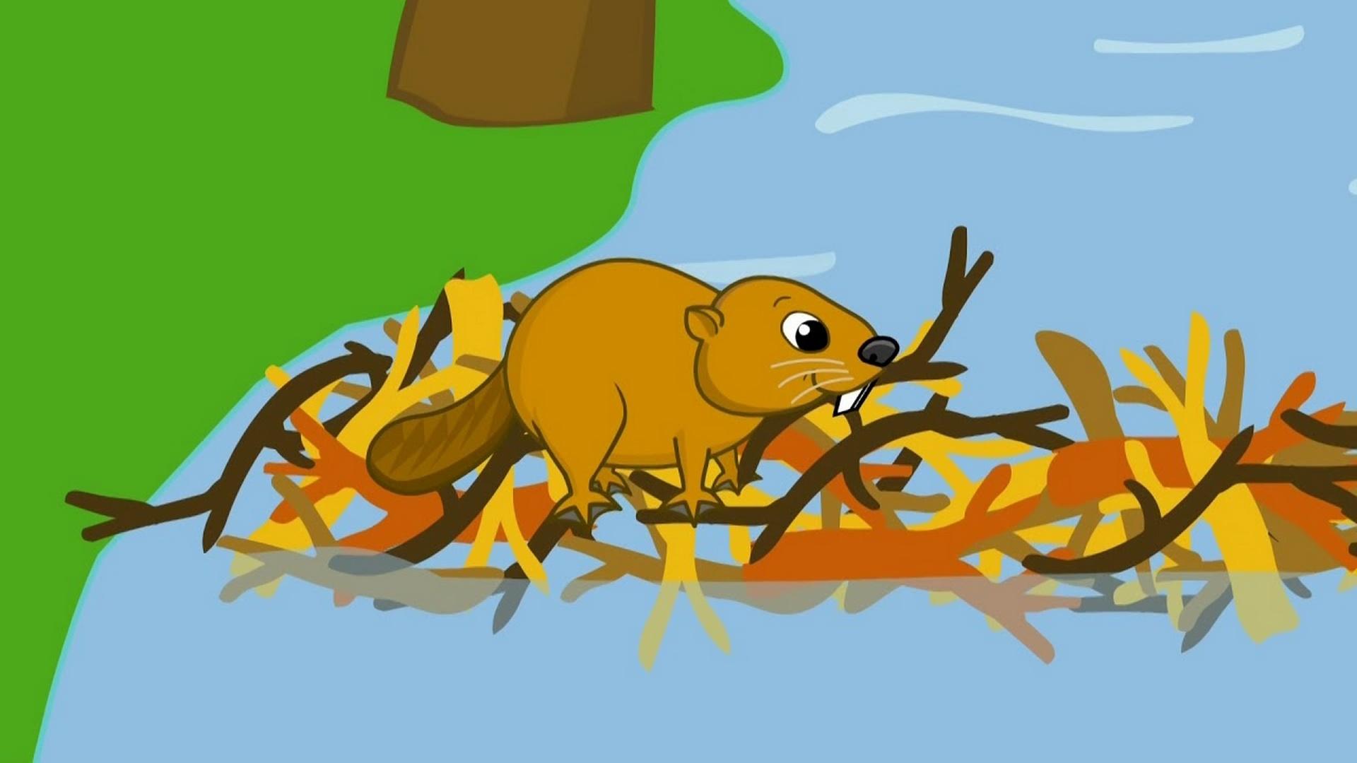 Бобрята (bobrjata) Досуг, хобби