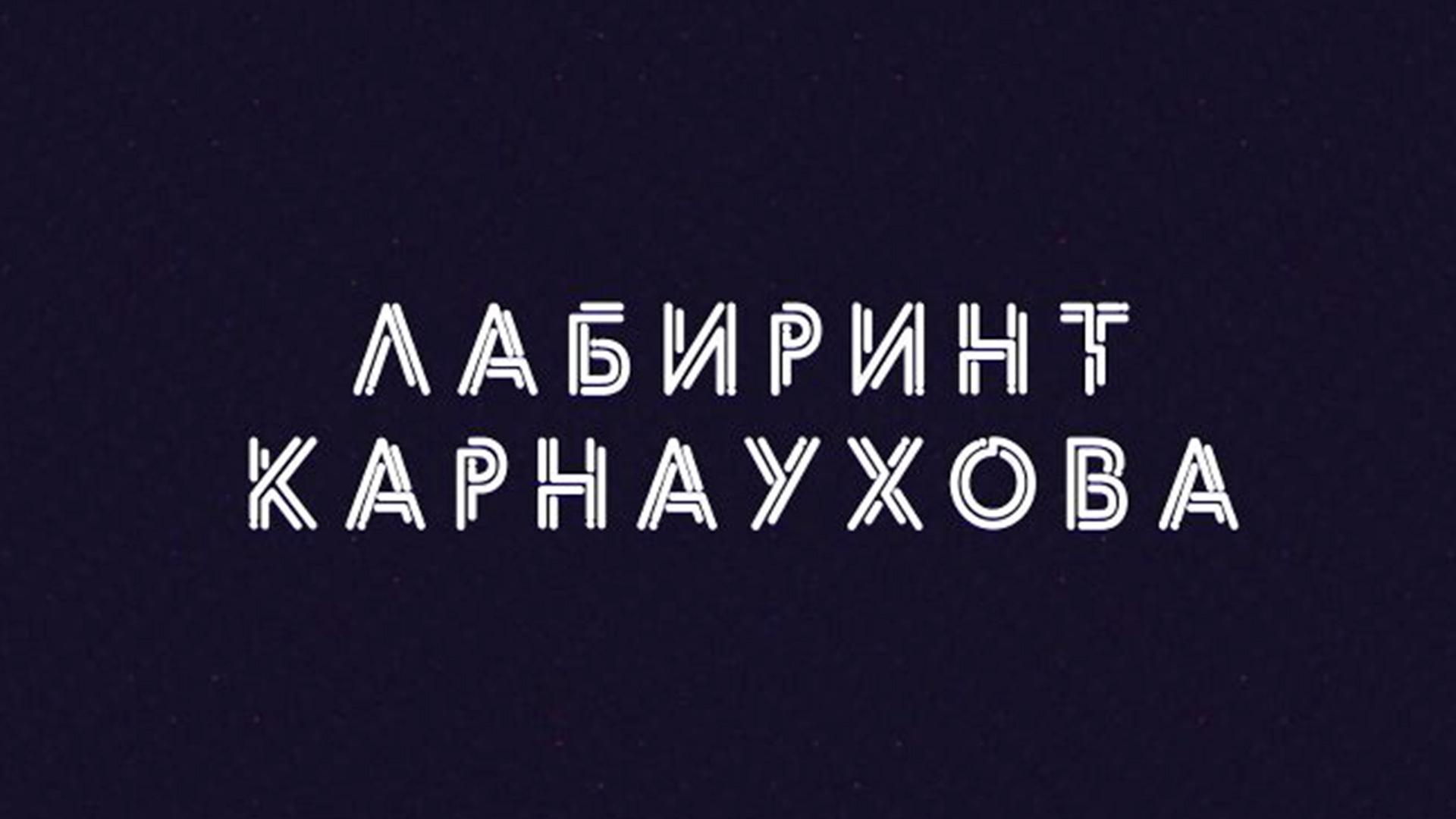 Лабиринт Карнаухова (labirint-karnauhova) Ток-шоу