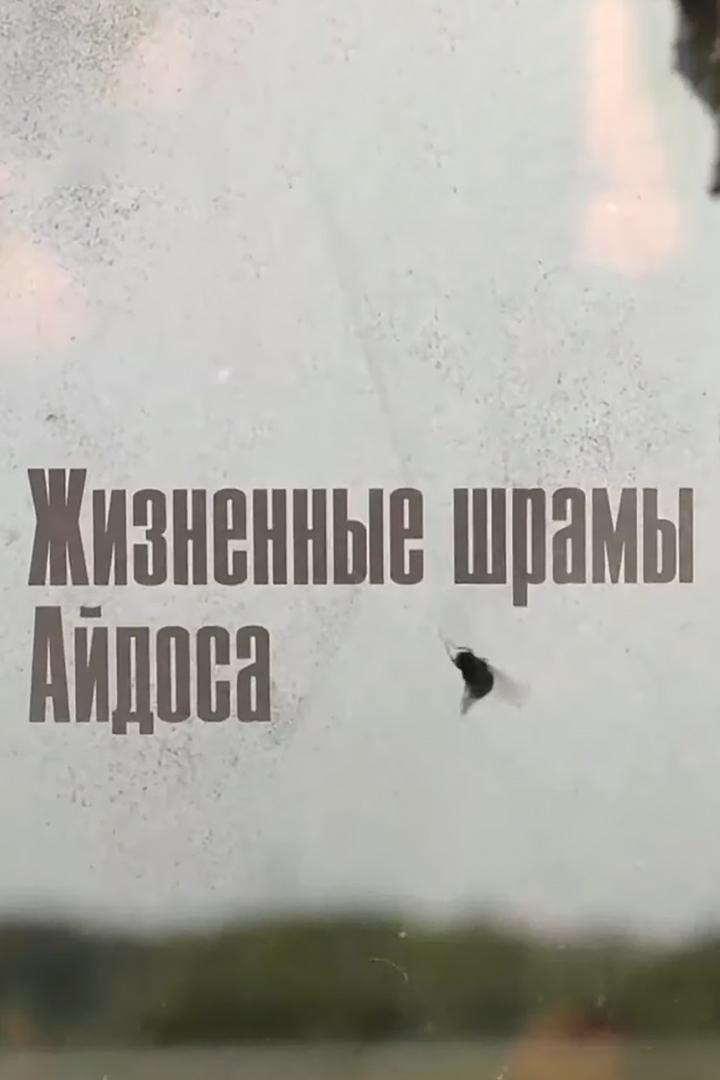 Жизненные шрамы Айдоса (zhiznennye-shramy-ajdosa) Документальный фильм