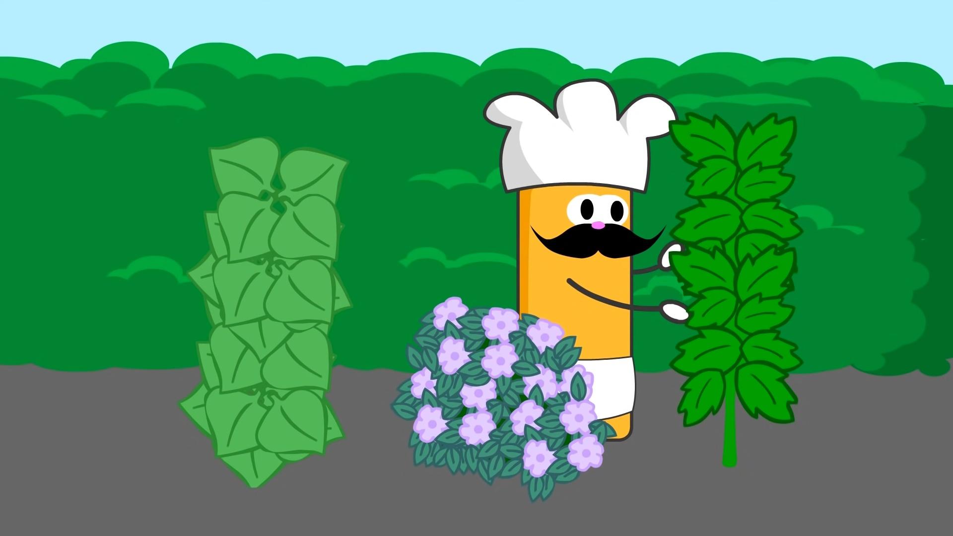 Ресторан (restoran) Познавательное