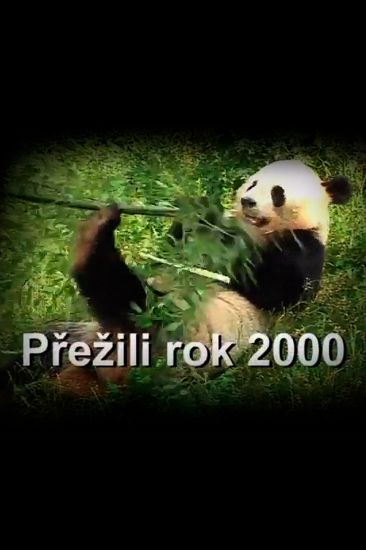 Přežili rok 2000 (peili-rok-2000) Документальный сериал