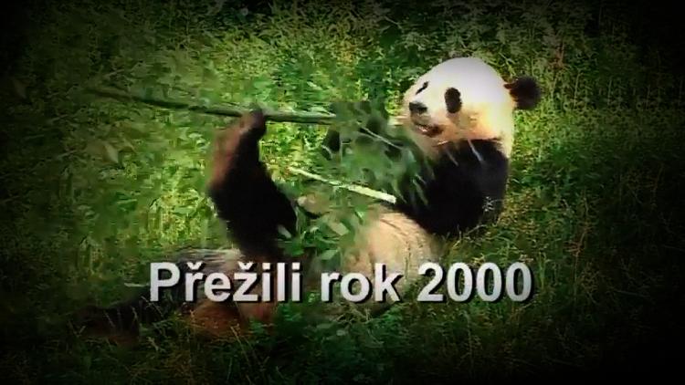 Постер Přežili rok 2000