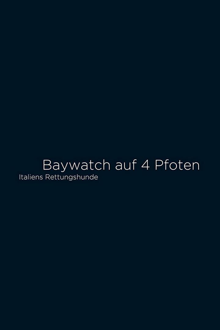 Baywatch auf 4 Pfoten - Italiens Rettungshunde (baywatch-auf-4-pfoten-italiens-rettungshunde) Документальный фильм