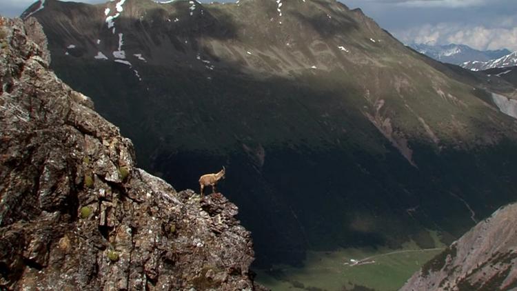 Постер Engadin Vadisi