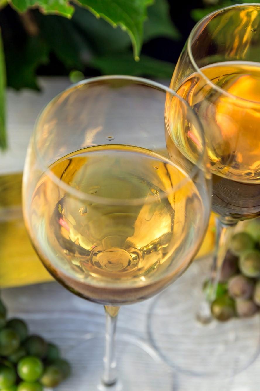 Come to Salta and learn about the Torrontes secrets in Cafayate (come-to-salta-and-learn-about-the-torrontes-secrets-in-cafayate) Досуг, хобби