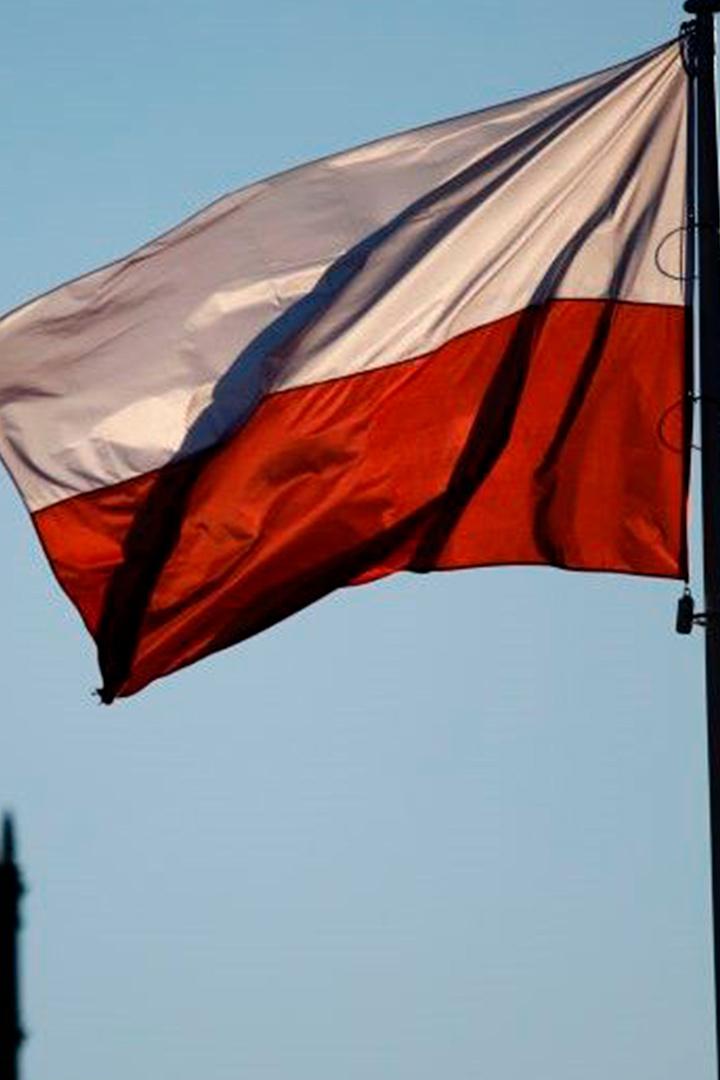 Krótki film o fladze (krtki-film-o-fladze) Документальный фильм