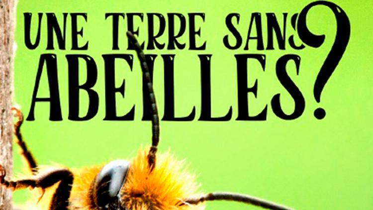 Постер Une terre sans abeilles?