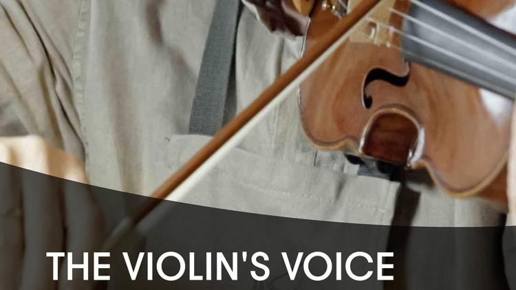 Постер The Violin's Voice