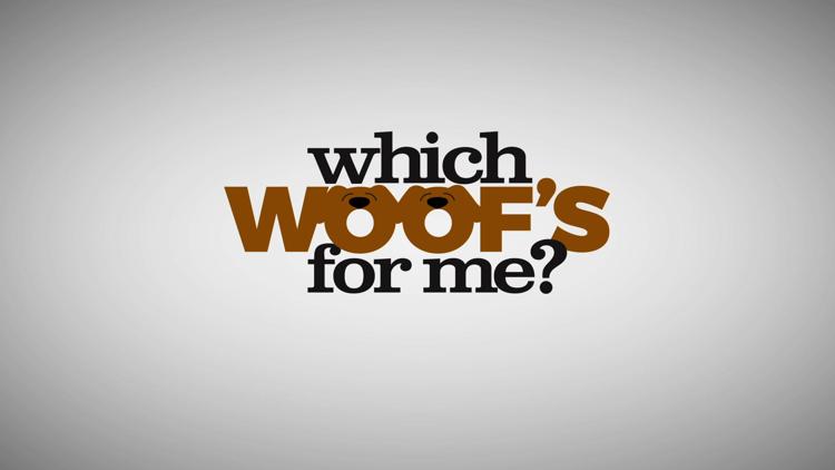 Постер Which Woof's for Me?