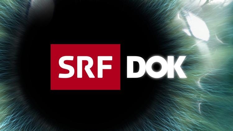 Постер SRF DOK