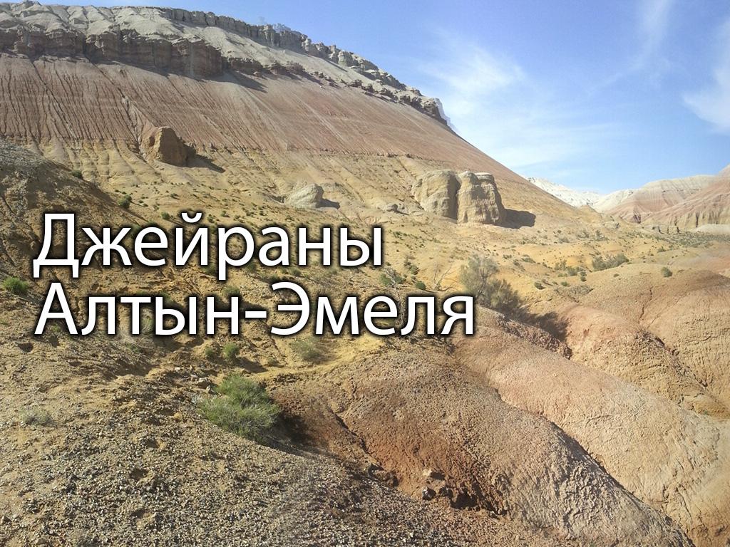 Джейраны Алтын-Эмеля (dzhejrany-altyn-emelja) Познавательное