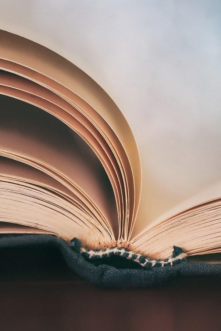 Рассказ «Упрямый зяблик» (rasskaz-uprjamyj-zjablik) Досуг, хобби