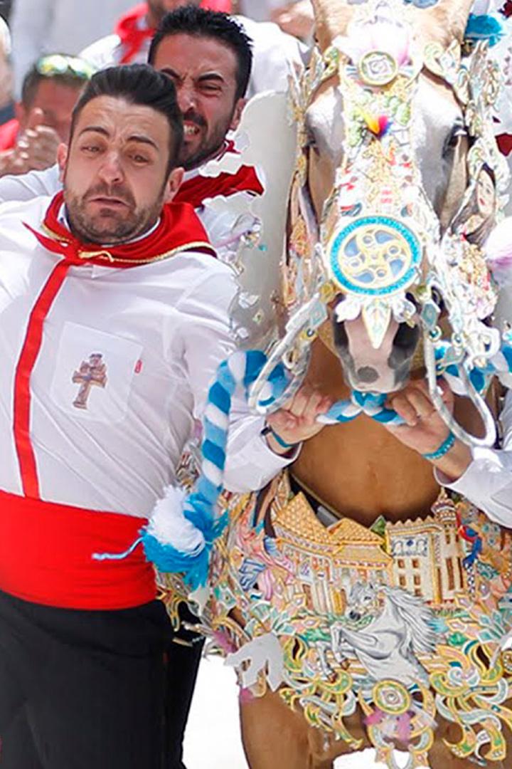 Carrera de los caballos del vino (carrera-de-los-caballos-del-vino) Досуг, хобби