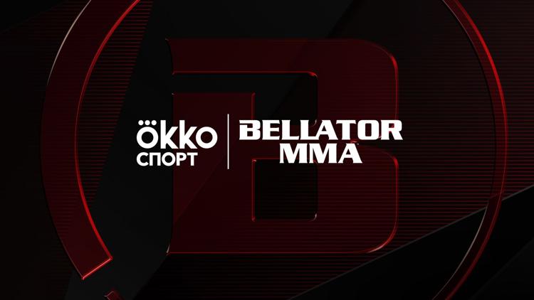 Постер Смешанные единоборства. Bellator 164