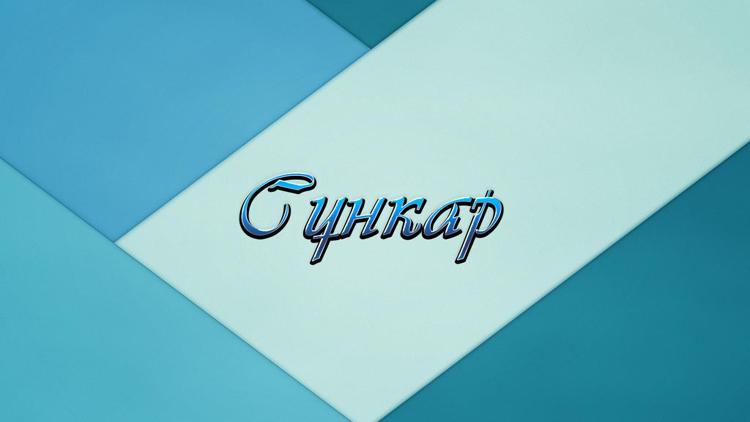 Постер Сункар